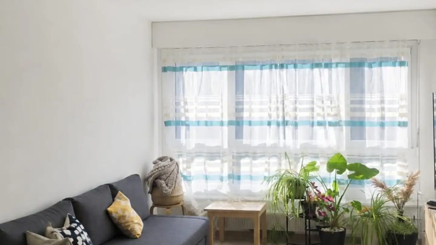 Wohnung mieten - Rue De La Prulay 52, 1217 Meyrin