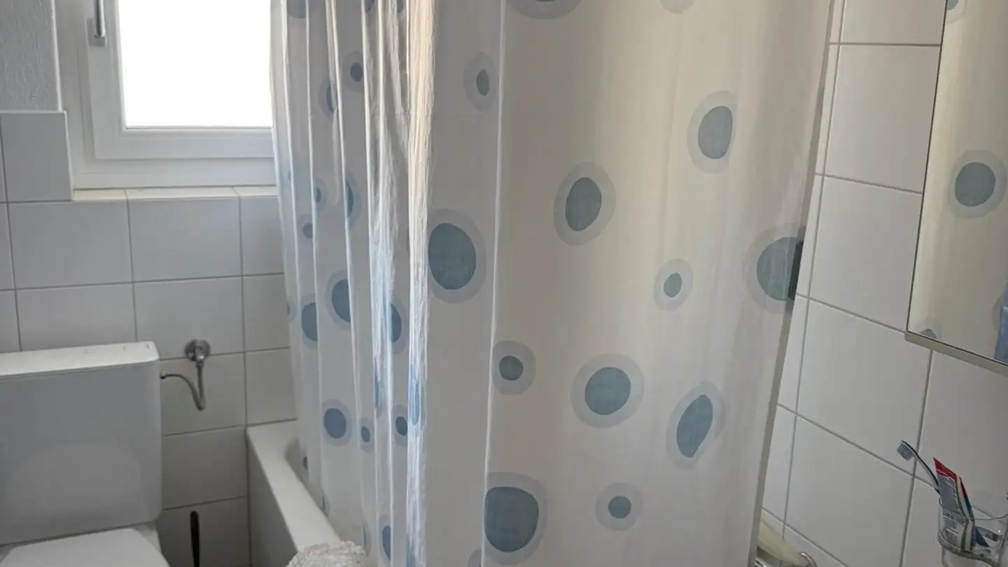 Appartement à louer - Wehntalerstrasse 33, 8166 Niederweningen - Photo 2