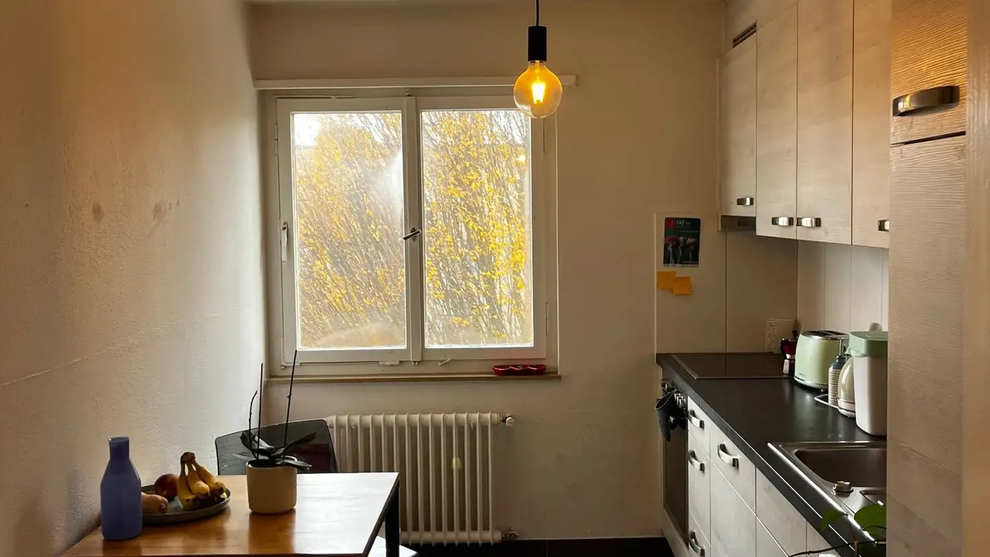 Appartamento in affitto - Chemin du Bois-Gentil, 1018 Lausanne - Foto 4