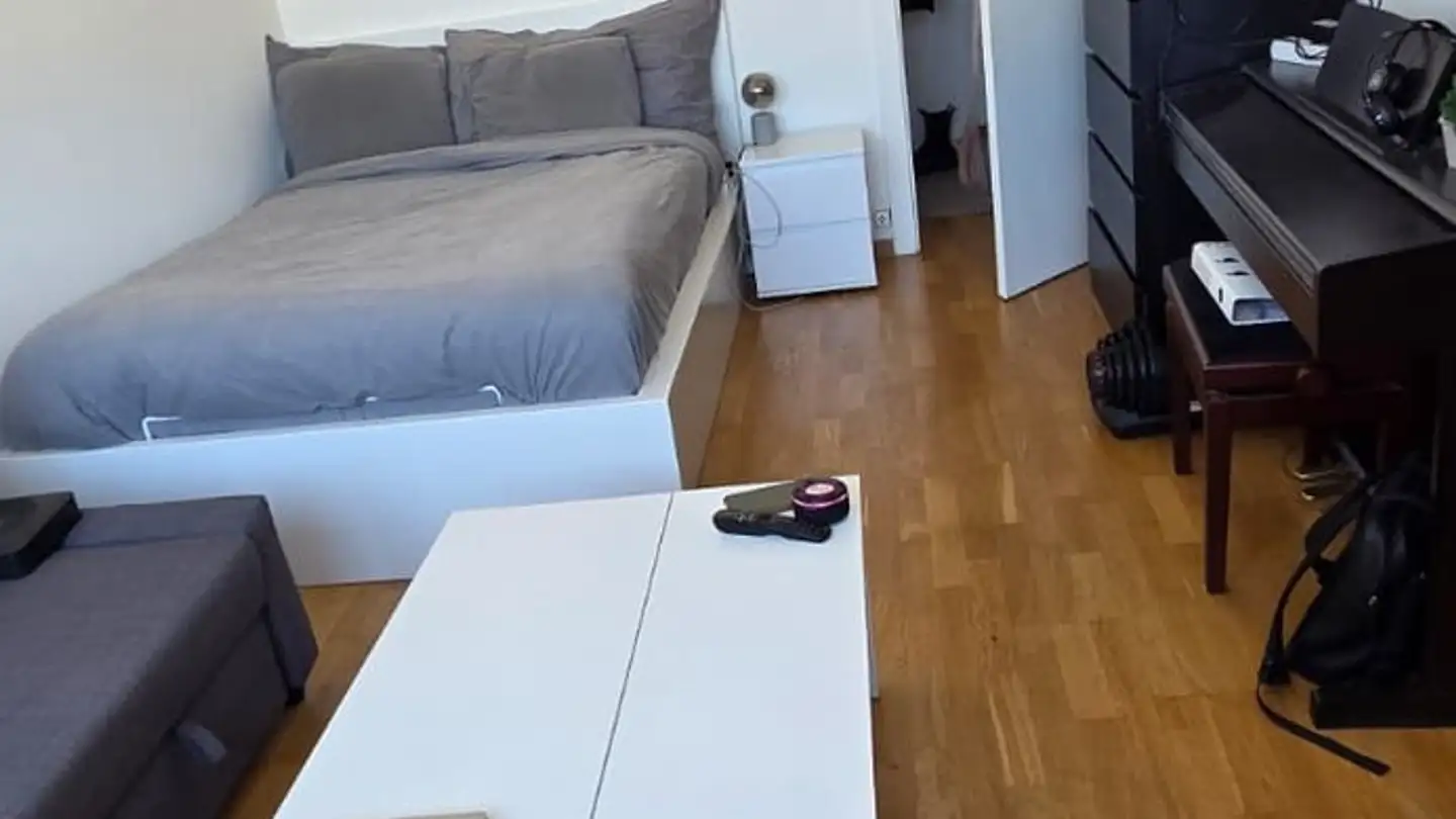 Appartamento in affitto - Rue Jean-Charles- Amat 16, 1202 Genève - Foto 4