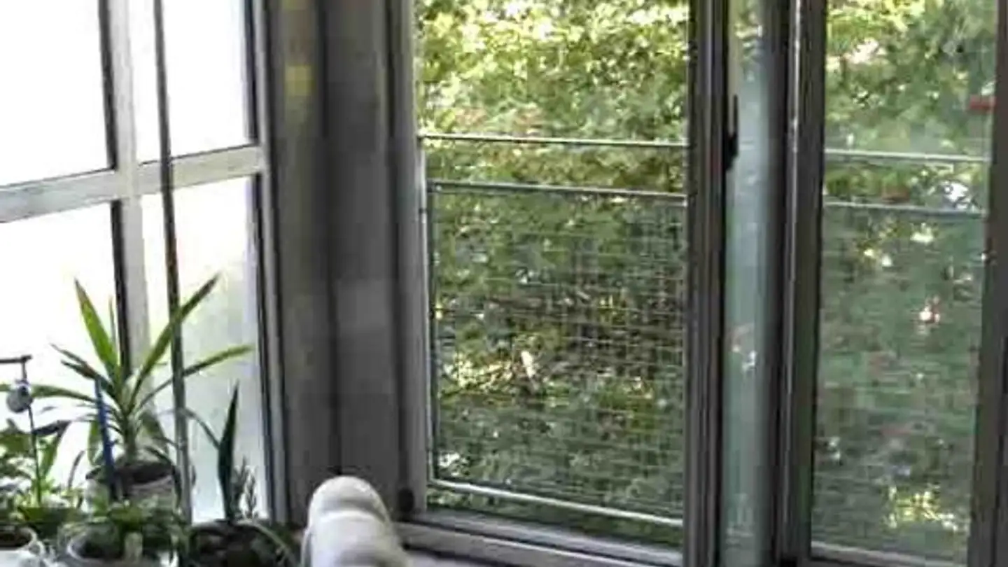 Appartamento in affitto - 3172 Niederwangen b. Bern