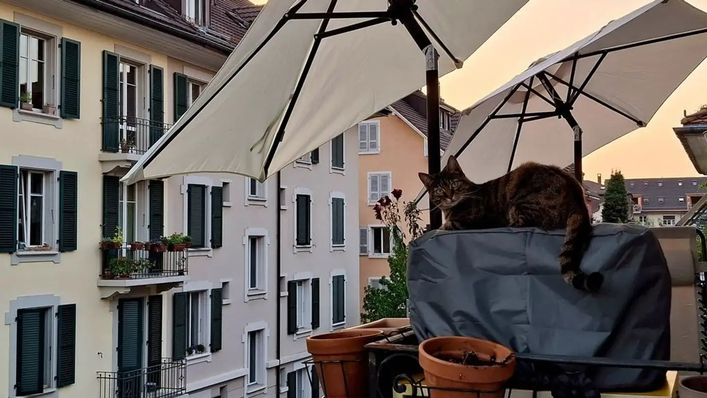 Apartment for rent - 3014 Bern - Photo 2