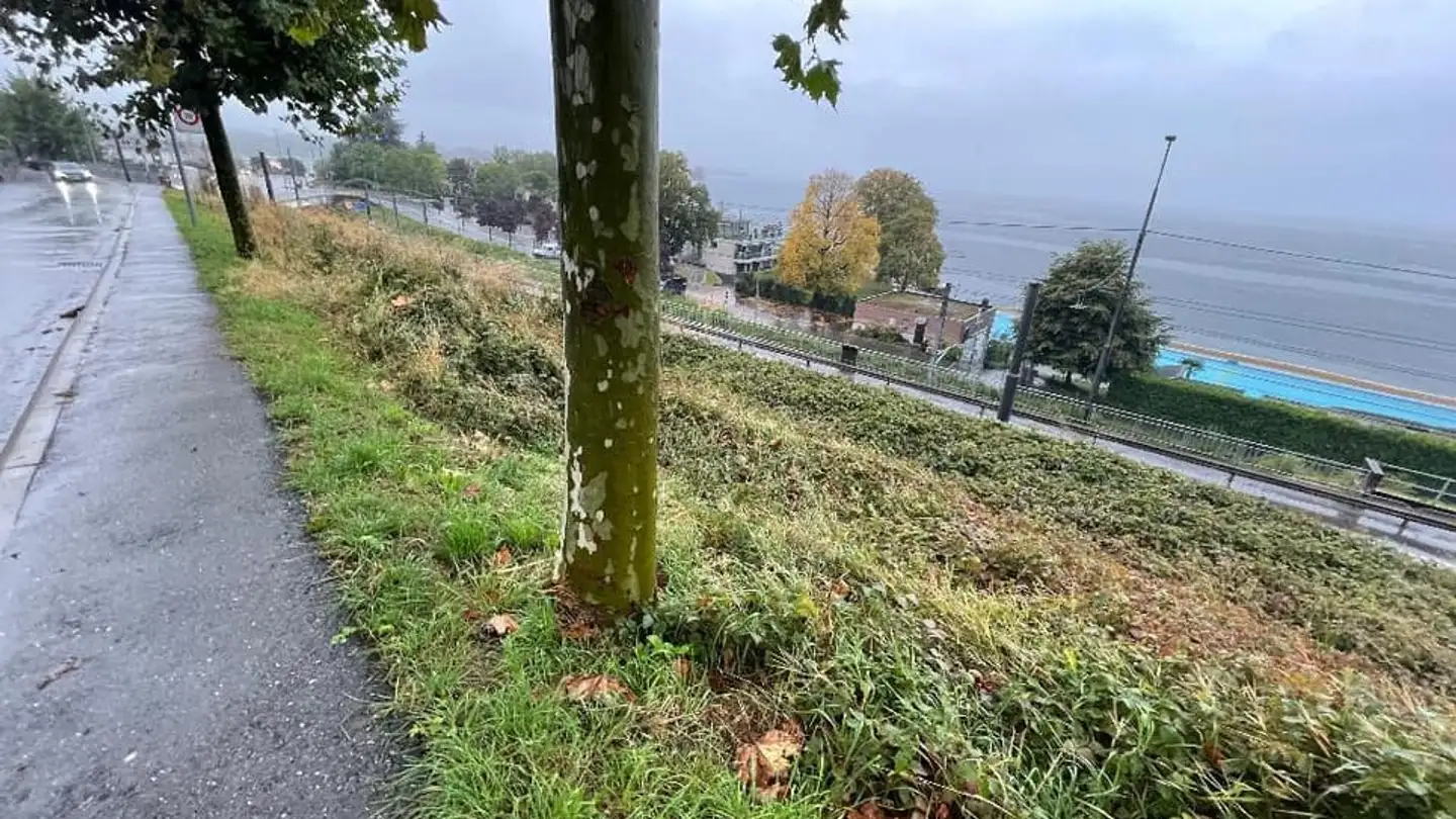 Terreno edificabile in vendita - 1844 Villeneuve VD - Foto 4