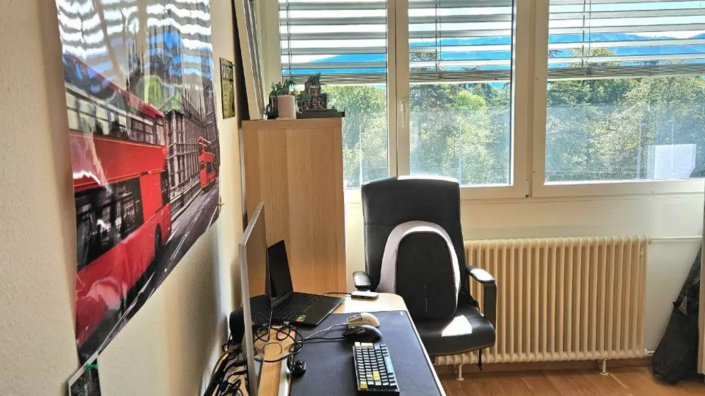 Chambre à louer - Rue Des Bossons, 1213 Onex - Photo 4