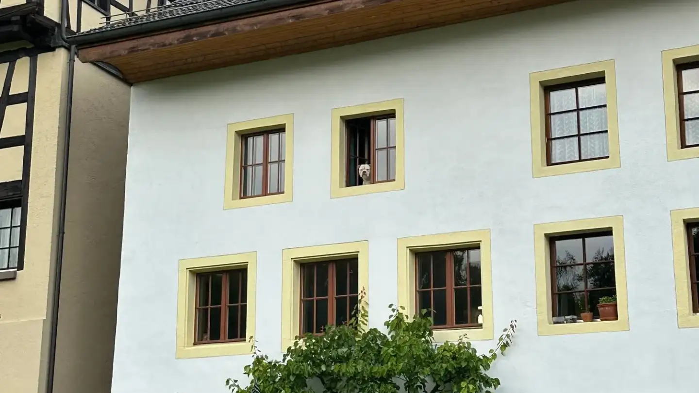 Duplex in affitto - Kniebrecheweg 31, 8810 Horgen - Foto 3