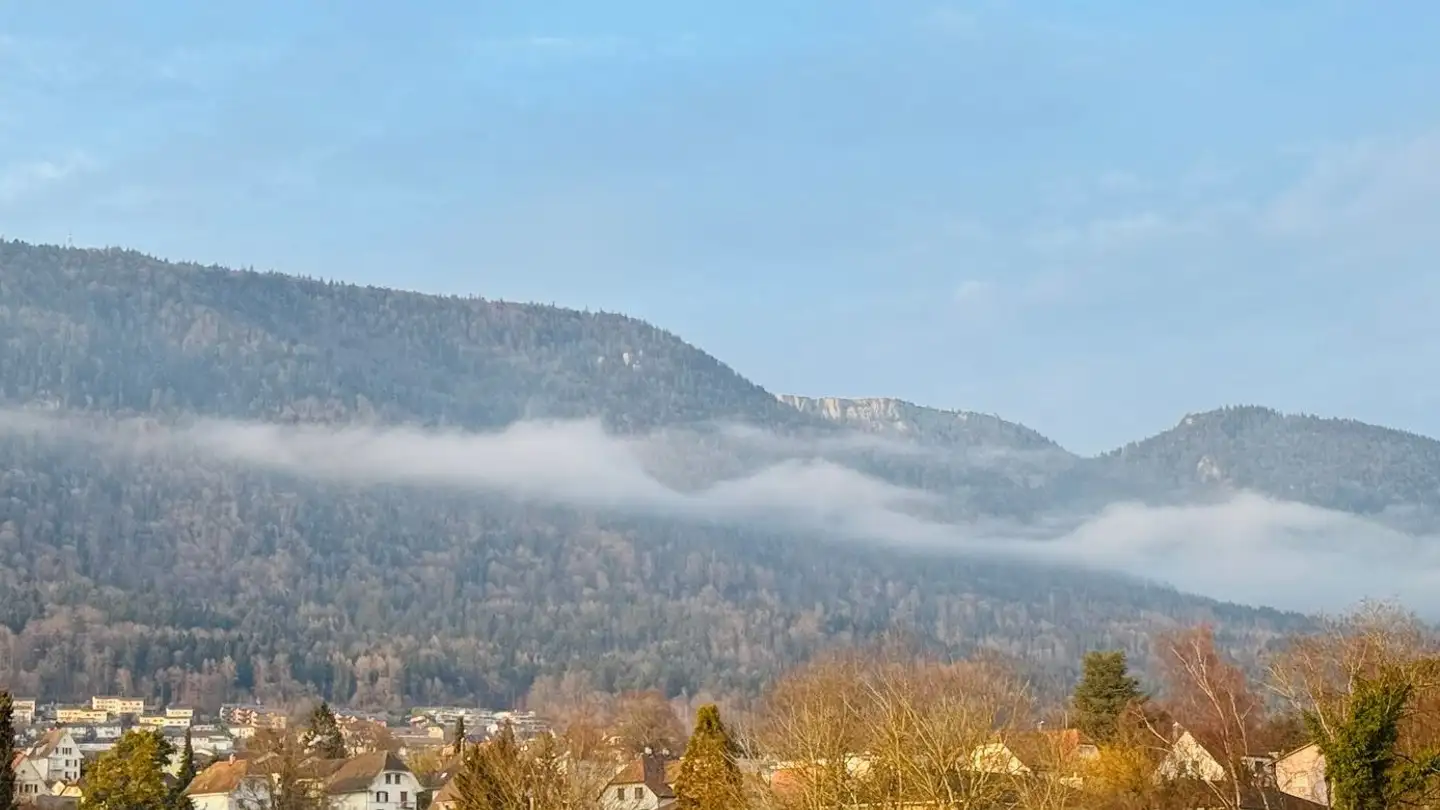 Attic flat for rent - 2540 Grenchen - Photo 2