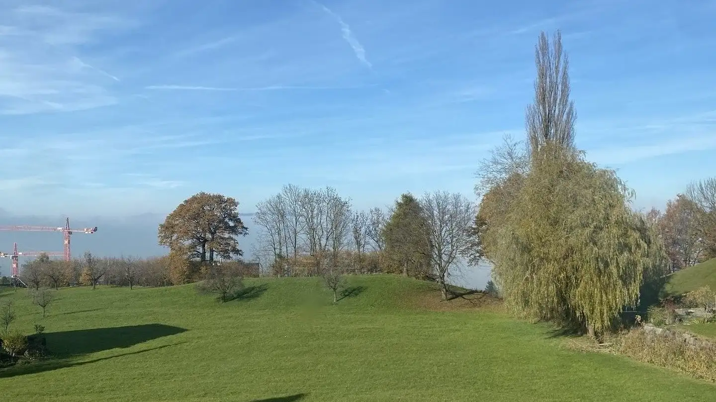 Single room for rent - 8834 Schindellegi - Photo 3