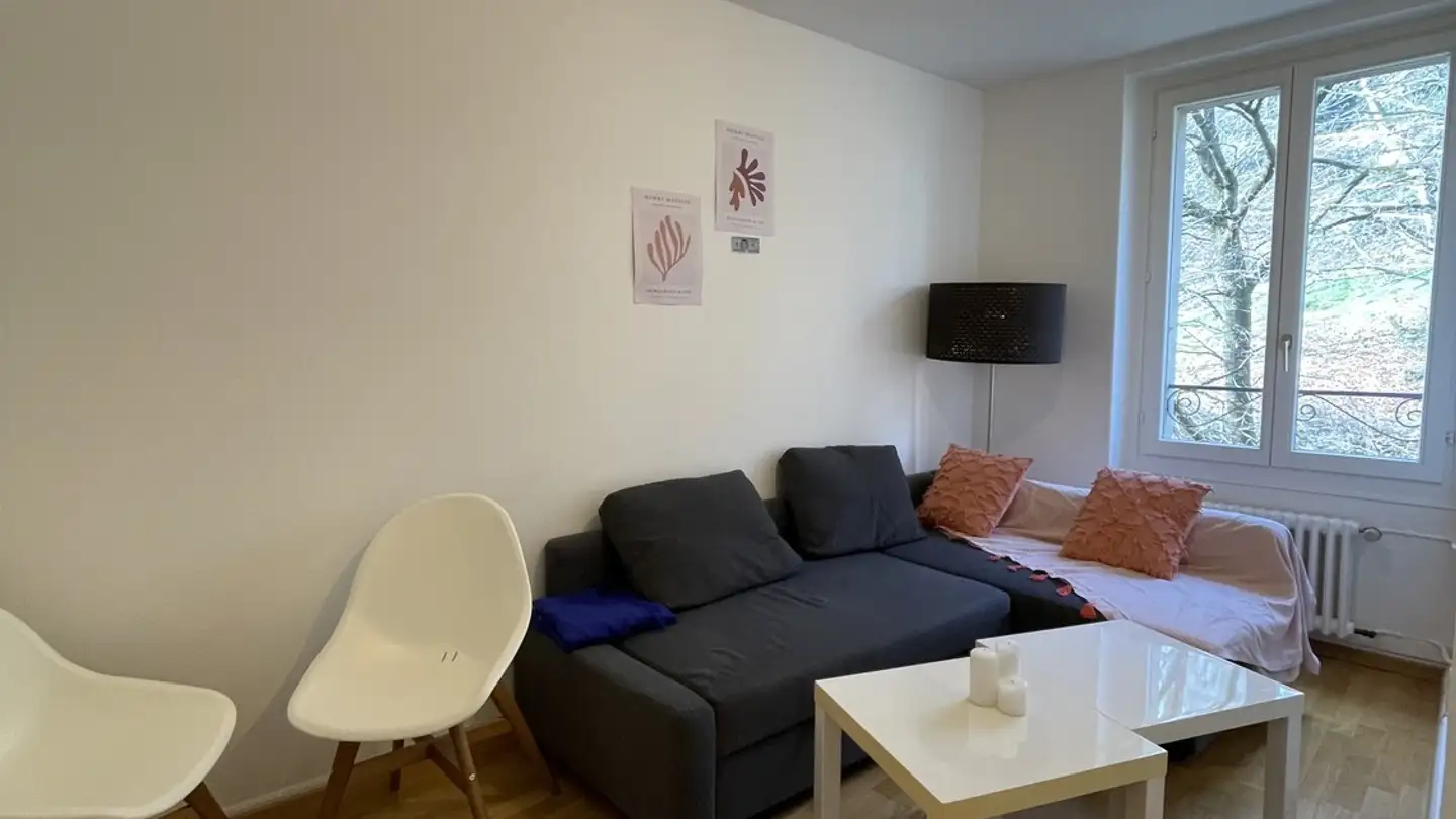 Appartamento in affitto - Chemin De Montmeillan 12, 1005 Lausanne - Foto 3