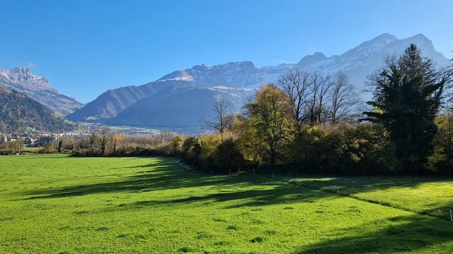 Appartement à vendre - Palanggenmatt 1, 6462 Seedorf UR