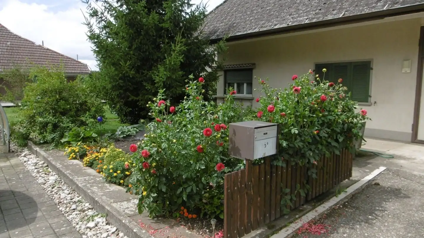 Maison individuelle à louer - Quellgasse 6, 3427 Utzenstorf