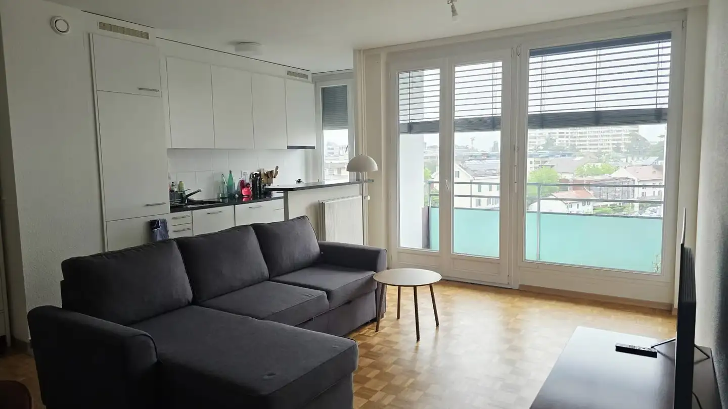 Appartamento in affitto - Avenue De Châtelaine, 1203 Genève - Foto 2