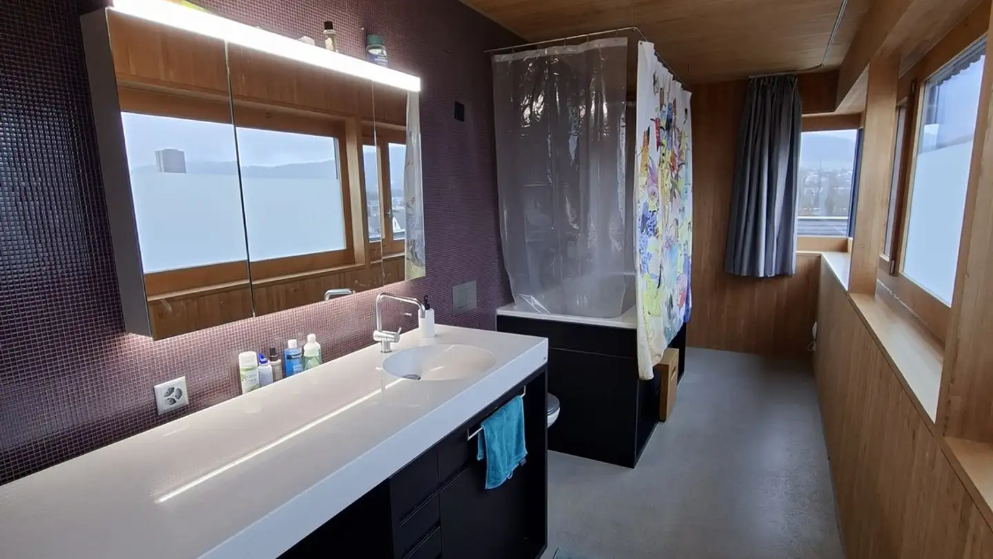 Single house for rent - Freihofweg 19, 5000 Aarau - Photo 3