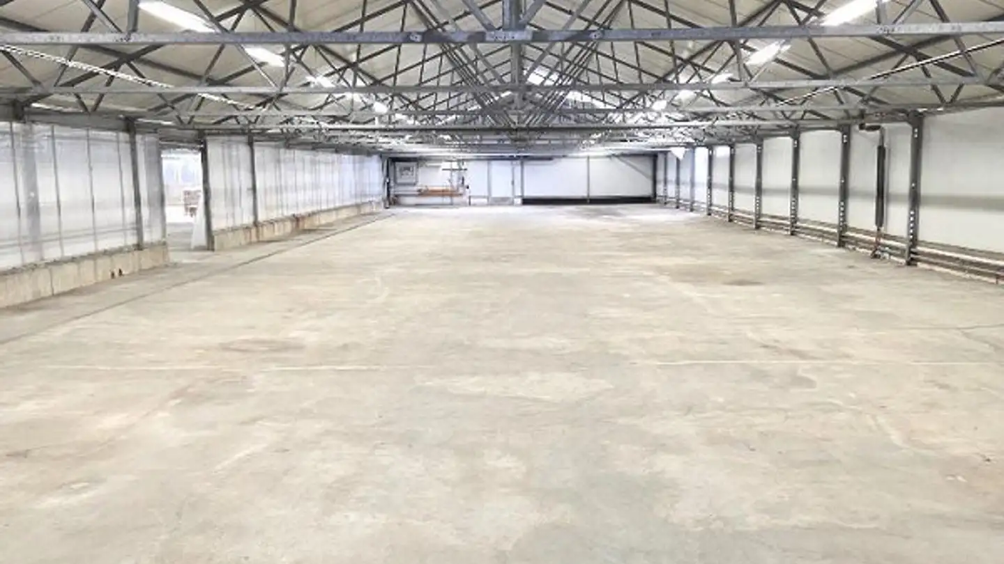 Commercial à louer - Bürglenstrasse 33, 8570 Weinfelden - Photo 4