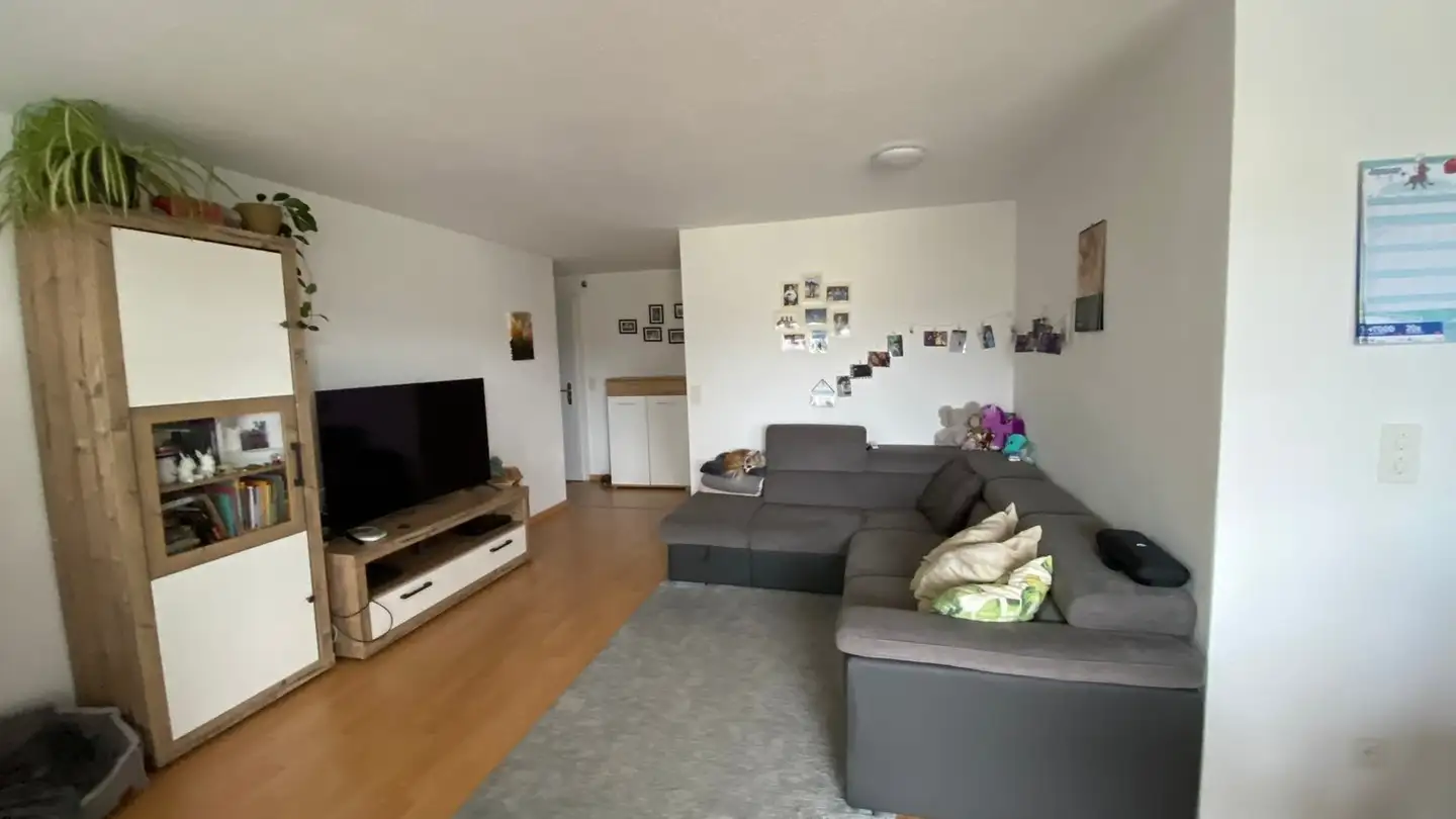 Appartement à louer - Wiesenweg 2, 9203 Niederwil SG