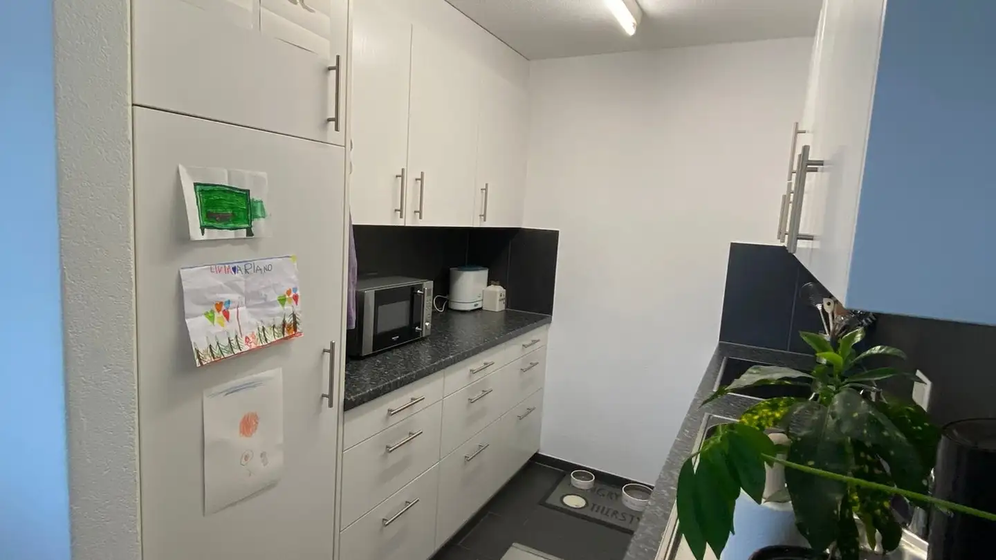 Appartement à louer - Wiesenweg 2, 9203 Niederwil SG - Photo 3