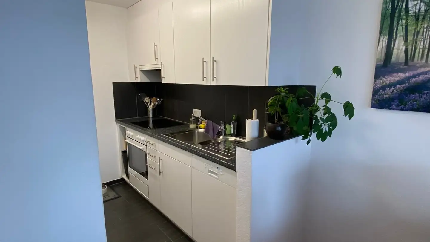 Appartement à louer - Wiesenweg 2, 9203 Niederwil SG - Photo 4