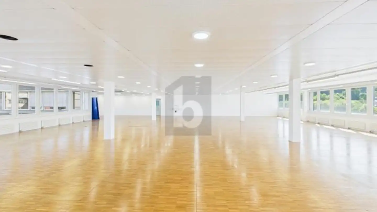 Office space for rent - 9016 St. Gallen - Photo 4