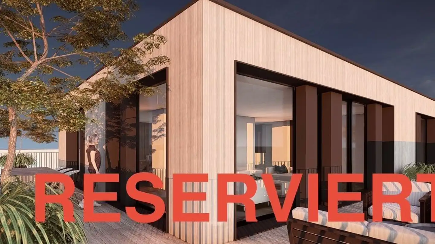 Attique à vendre - Buchenstrasse, 4104 Oberwil BL