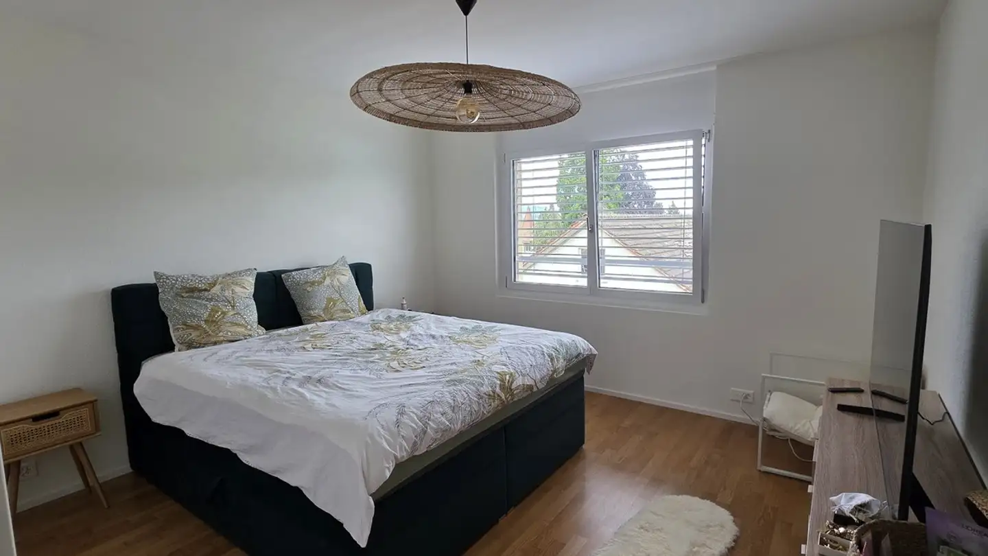 Appartamento in affitto - 5734 Reinach AG