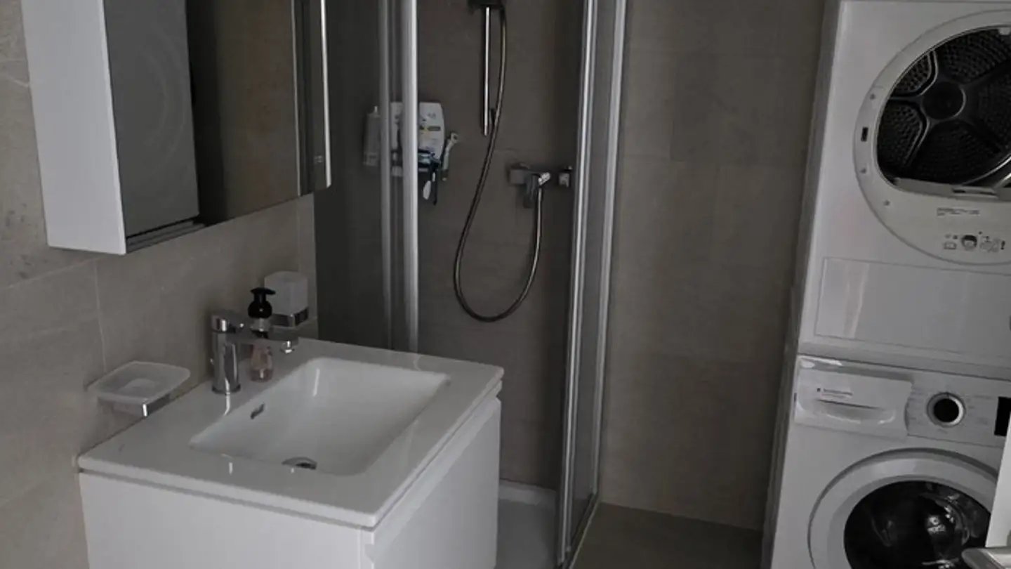 Appartamento in affitto - 5734 Reinach AG - Foto 3
