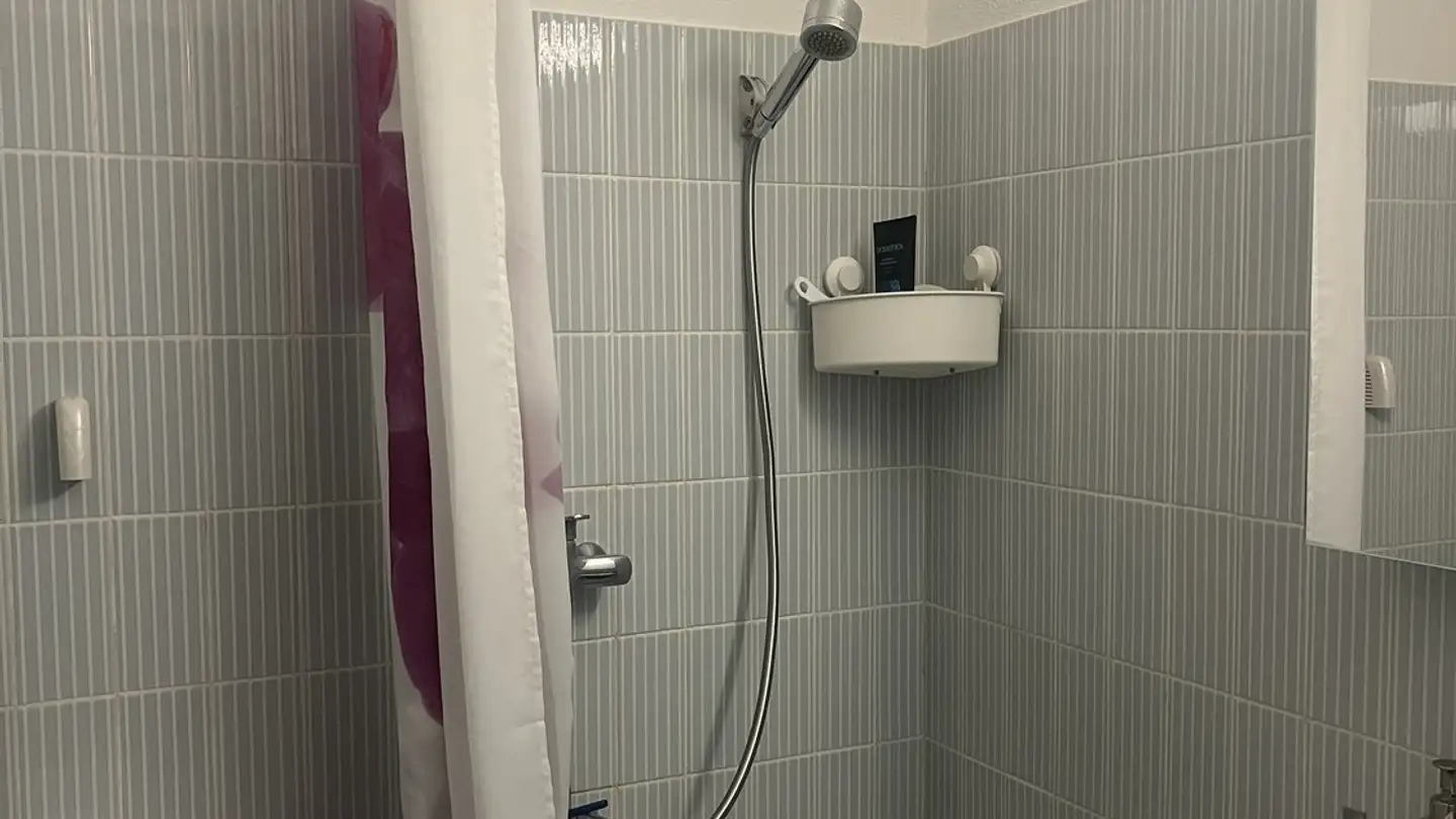 Appartamento in affitto - Glärnischstrasse, 8102 Oberengstringen - Photo 2