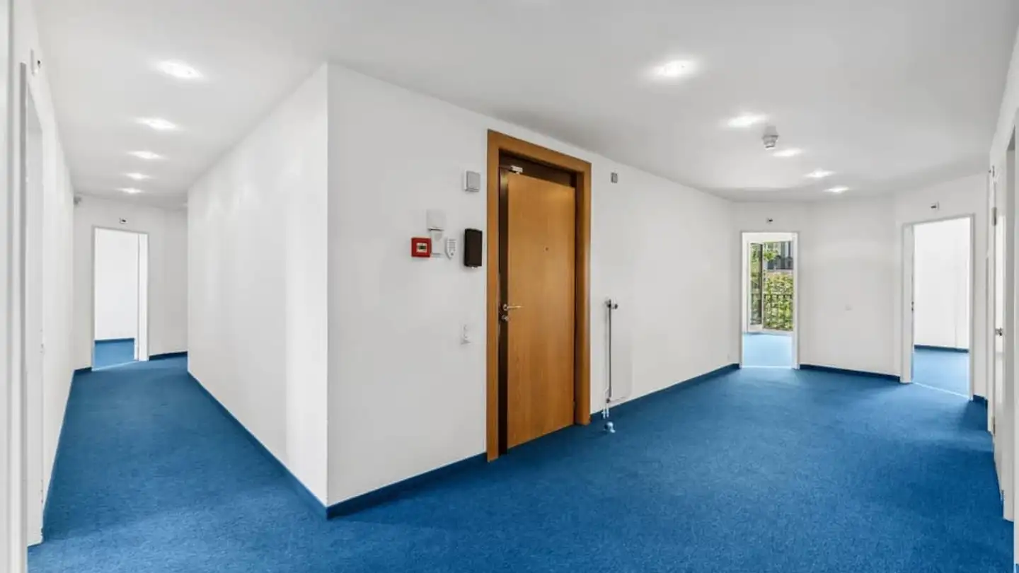 Commerciale in affitto - Route De Malagnou 6, 1208 Genève - Foto 3