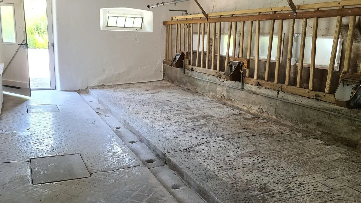 Hobbyraum mieten - 8617 Mönchaltorf - Foto 2