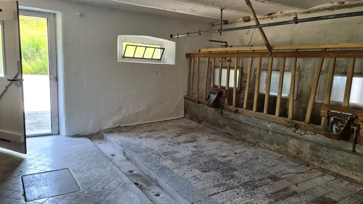 Hobbyraum mieten - 8617 Mönchaltorf - Foto 3