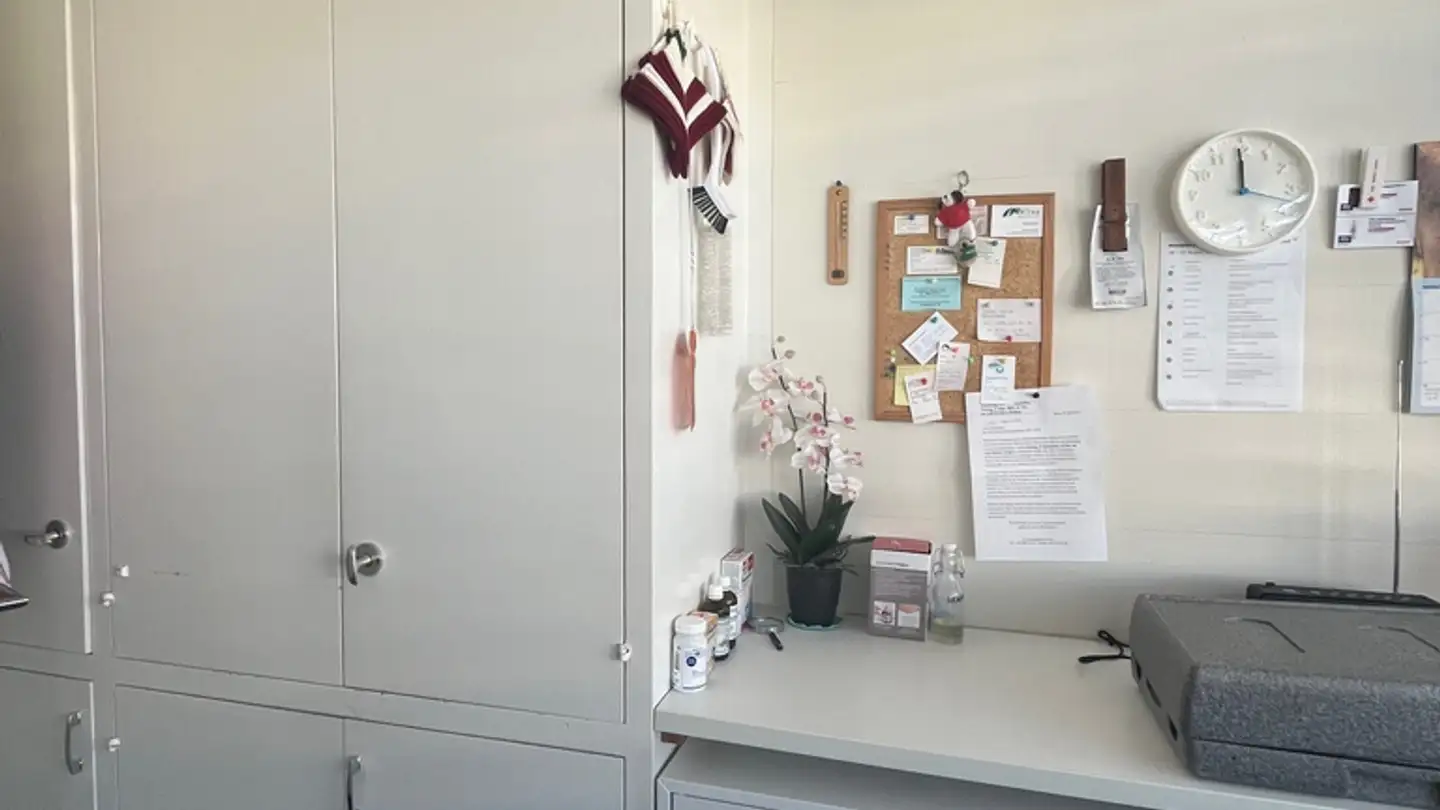 Apartment for rent - Buchholzstrasse 4, 3604 Thun - Photo 3