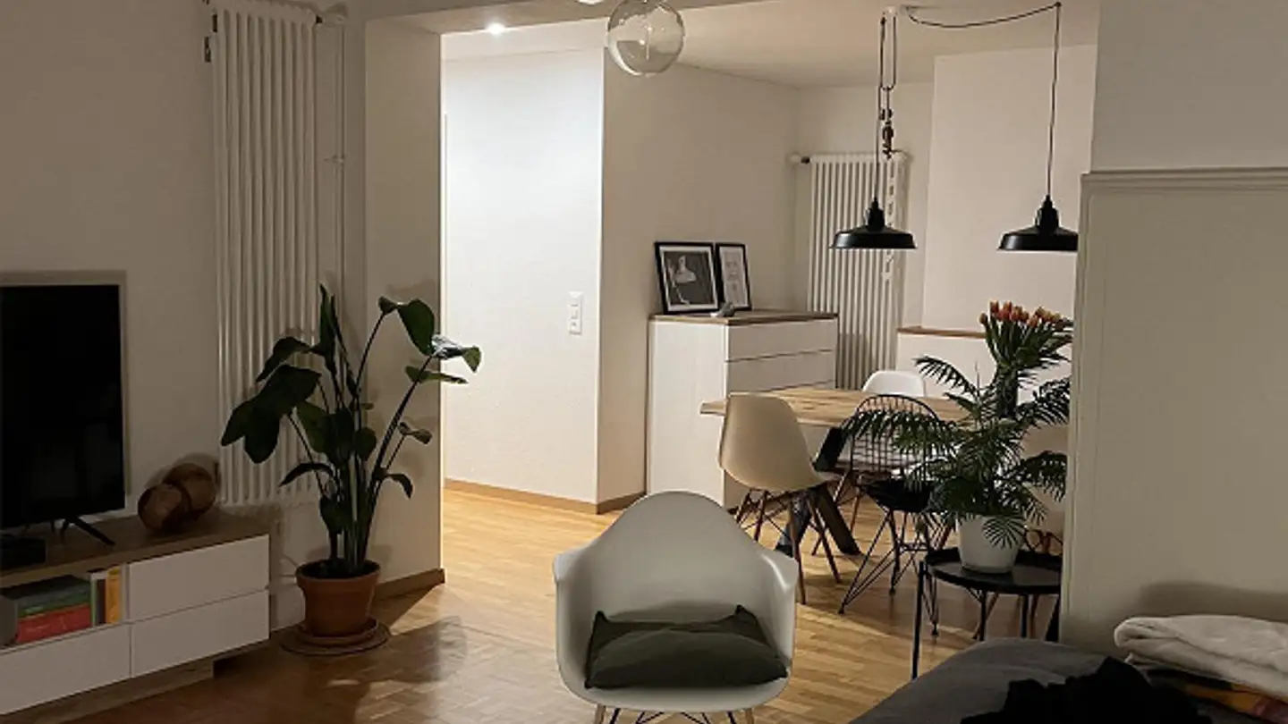 Appartamento in affitto - Breitestrasse 110, 8400 Winterthur - Foto 2
