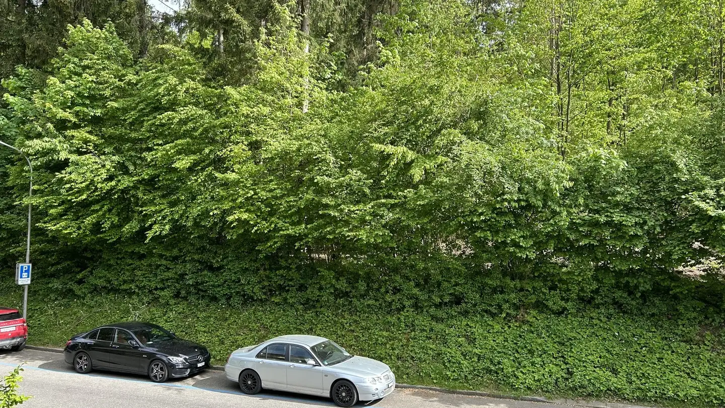 Zimmer mieten - Frohburgstrasse, 8057 Zürich