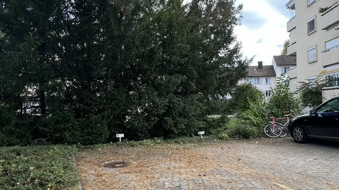 Outdoor parking space for rent - 8404 Winterthur