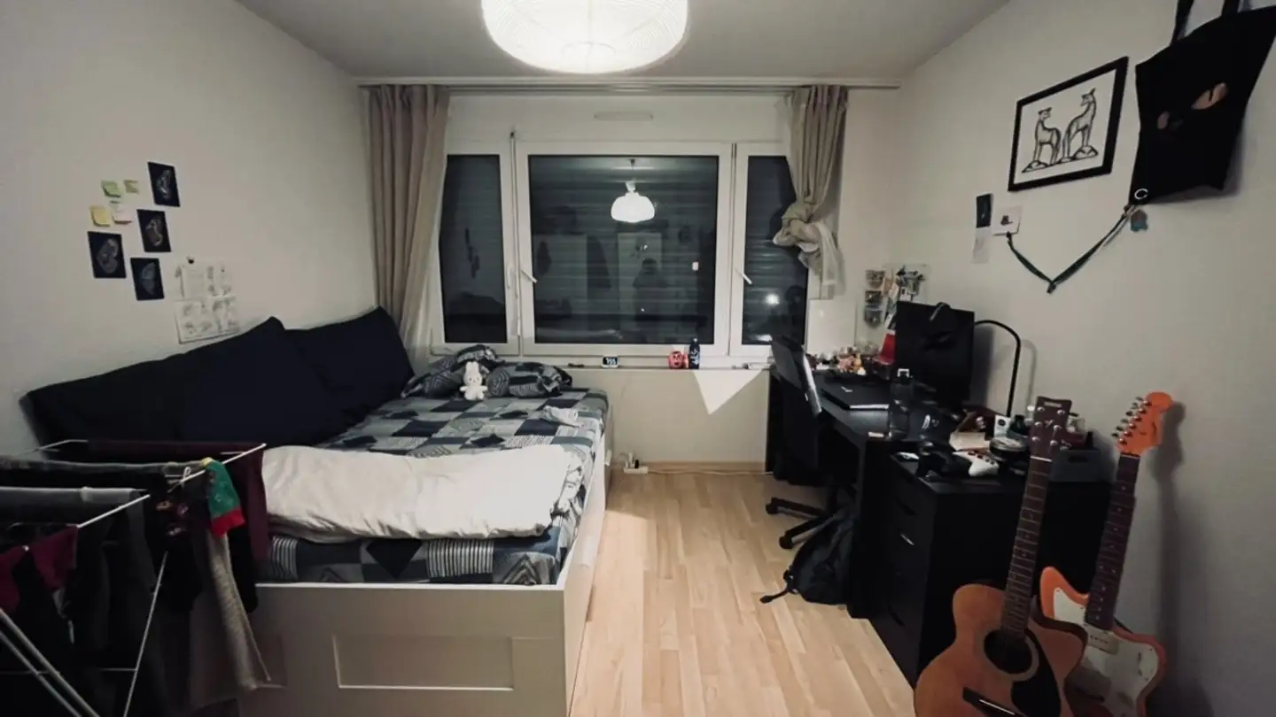 Chambre à louer - Arianestrasse 19, 8052 Zürich - Photo 3