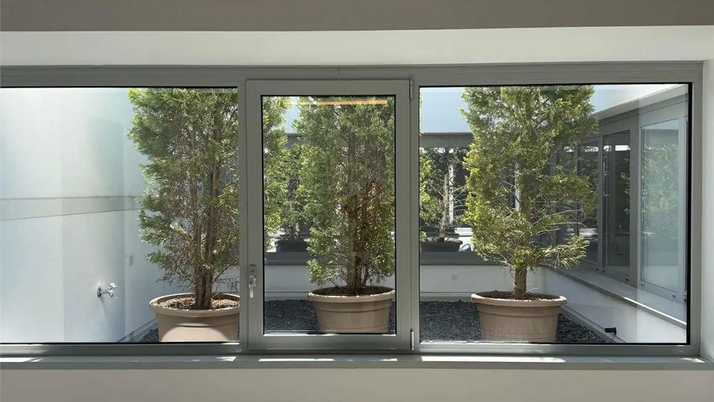 Office space for sale - 6930 Bedano - Photo 3