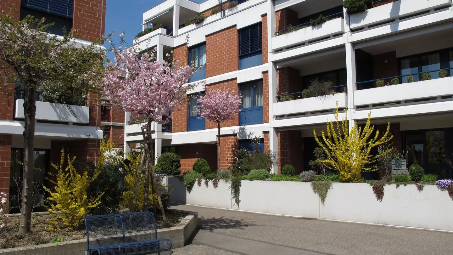 Appartamento in affitto - Winzerhalde 28, 8049 Zürich