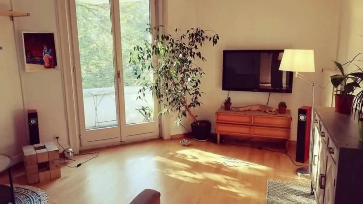 Appartement à louer - Obergrundstrasse 71a, 6003 Luzern