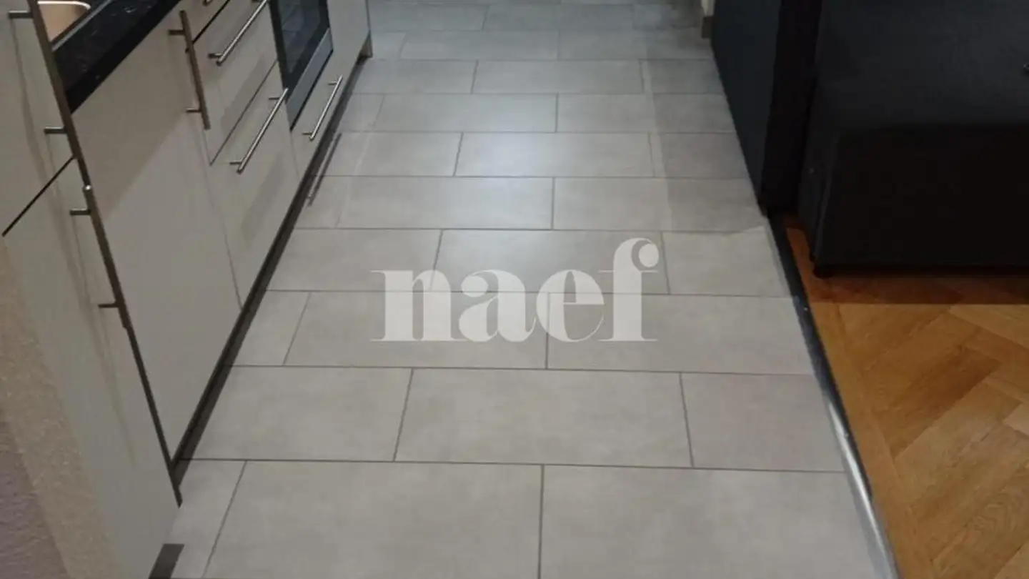 Appartement à louer - Rue Lamartine 30, 1203 Genève - Photo 4