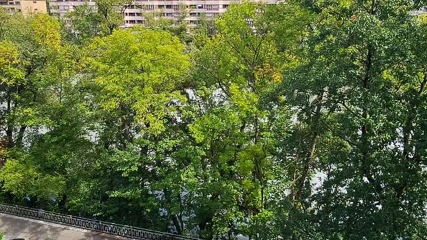 Apartment for rent - Quai Du Cheval-Blanc 9, 1227 Les Acacias