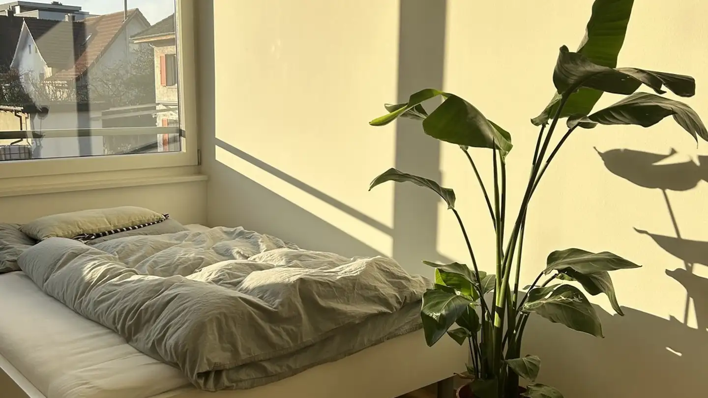 Stanza singola in affitto - Scheuergasse 7, 5210 Windisch