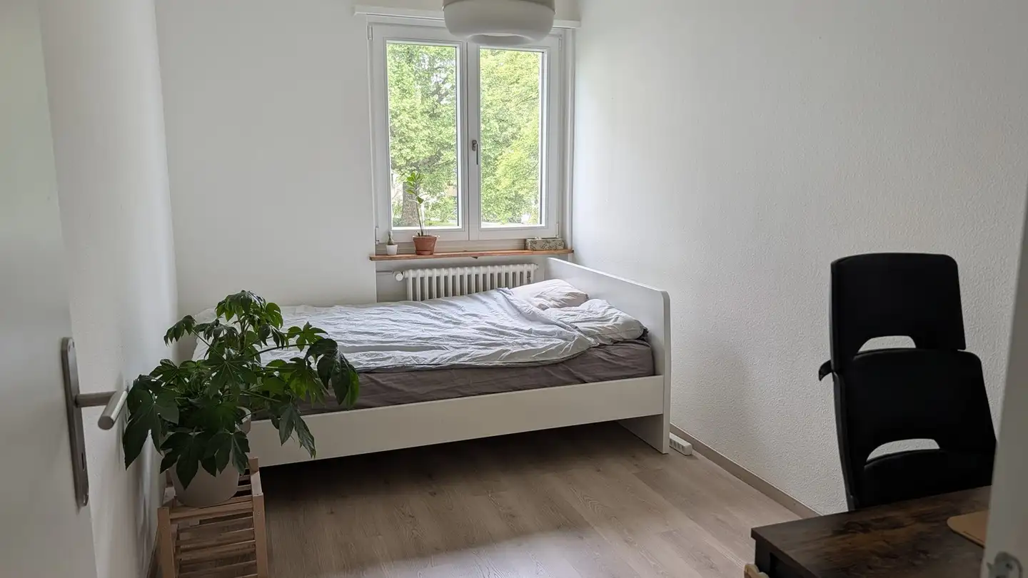 Chambre à louer - 8048 Zürich