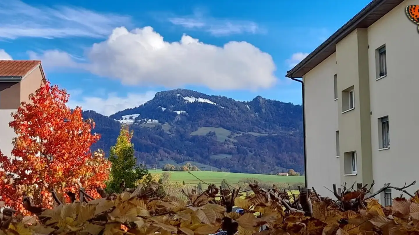 Appartamento in affitto - Route Saint-Ignace 35, 1633 Marsens