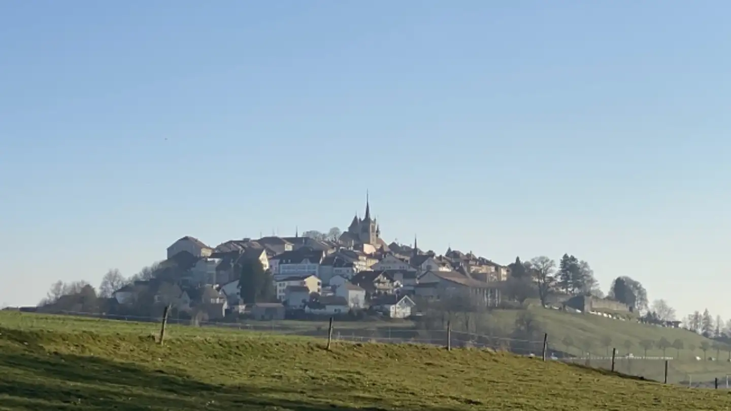 Fattoria in vendita - 1680 Romont FR - Foto 2