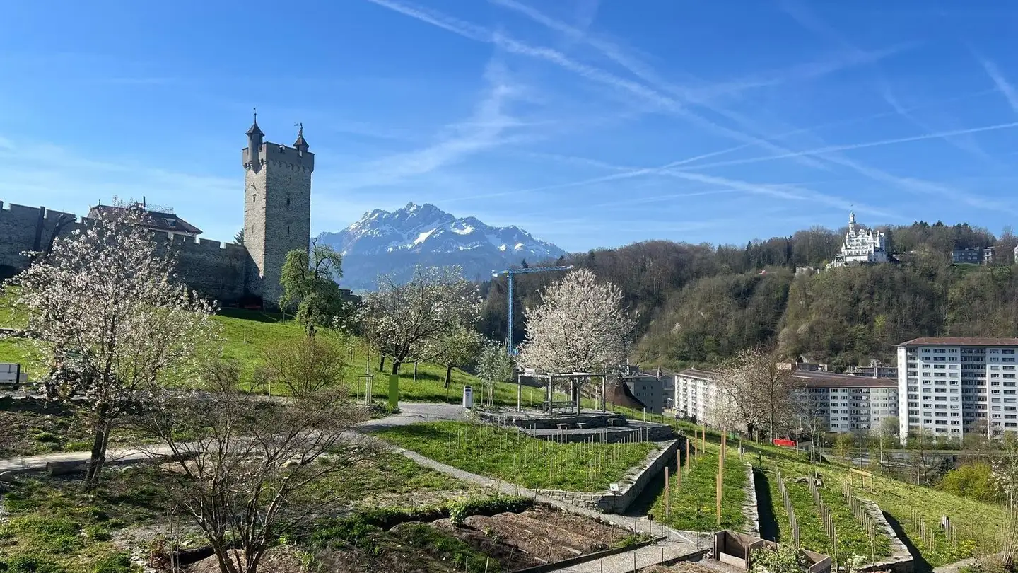 Penthouse mieten - Diebold-Schilling-Strasse 31, 6004 Luzern