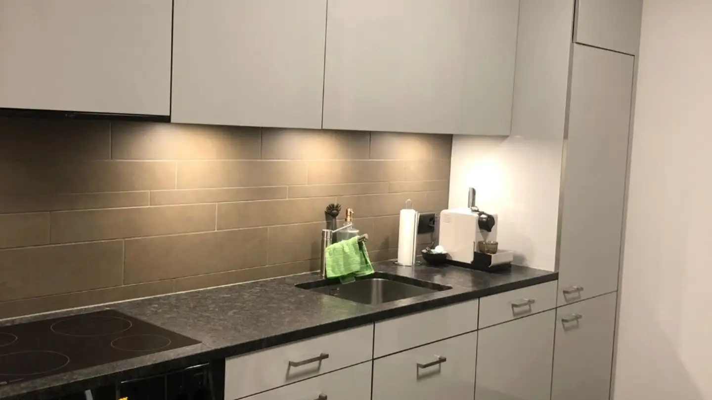 Chambre à louer - Schaffhauserstrasse 456, 8052 Zürich - Photo 2