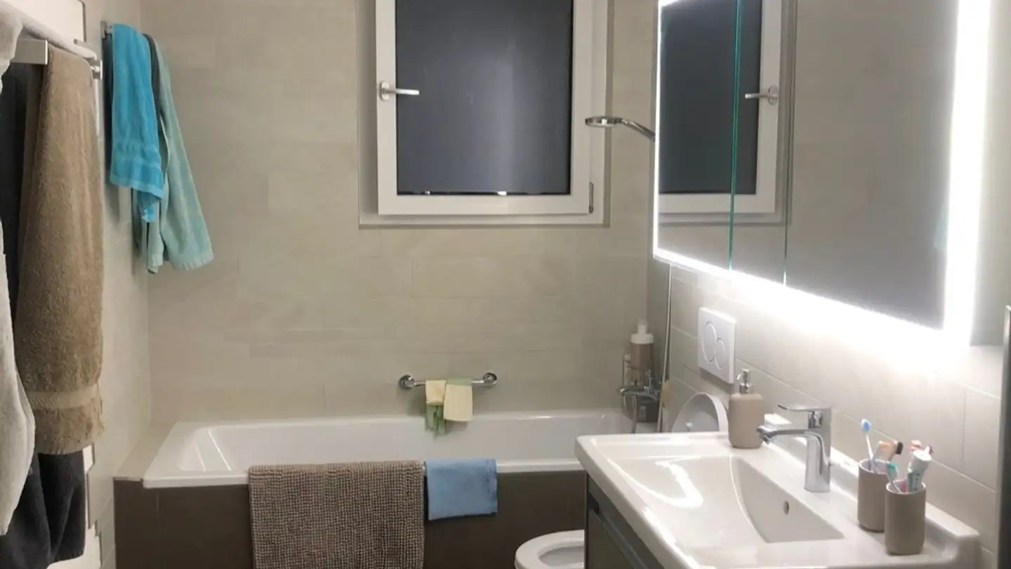 Chambre à louer - Schaffhauserstrasse 456, 8052 Zürich - Photo 3