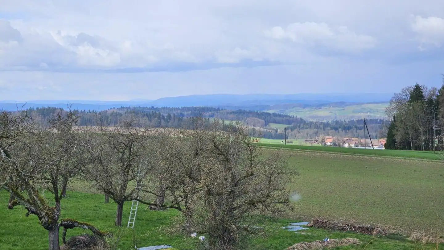 Apartment for sale - Liebensberg 8, 8543 Bertschikon - Photo 4