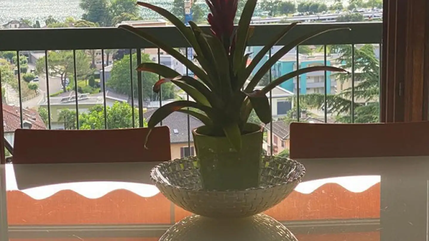 Wohnung kaufen - 6818 Melano - Foto 3