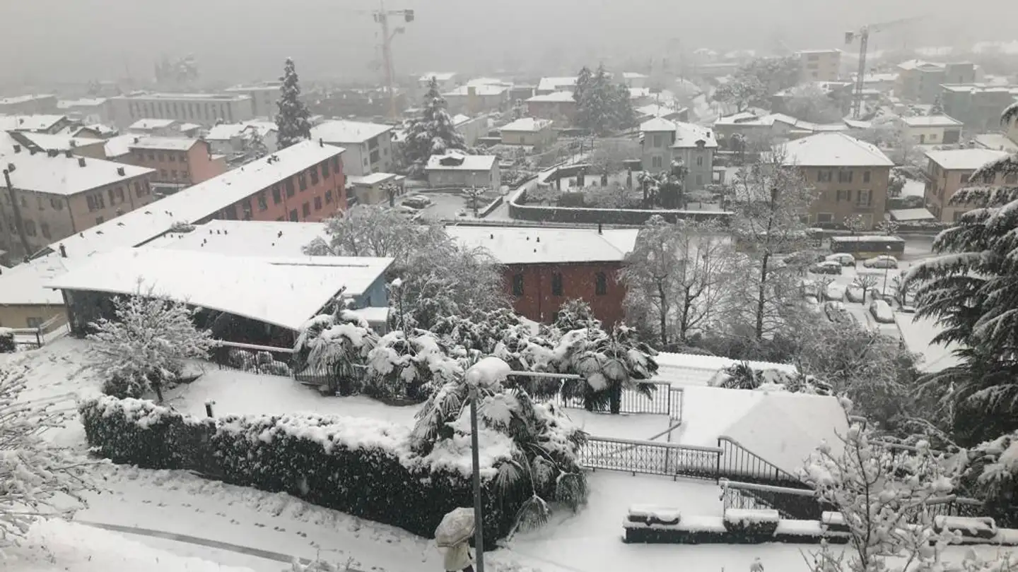 Wohnung kaufen - 6818 Melano - Foto 2