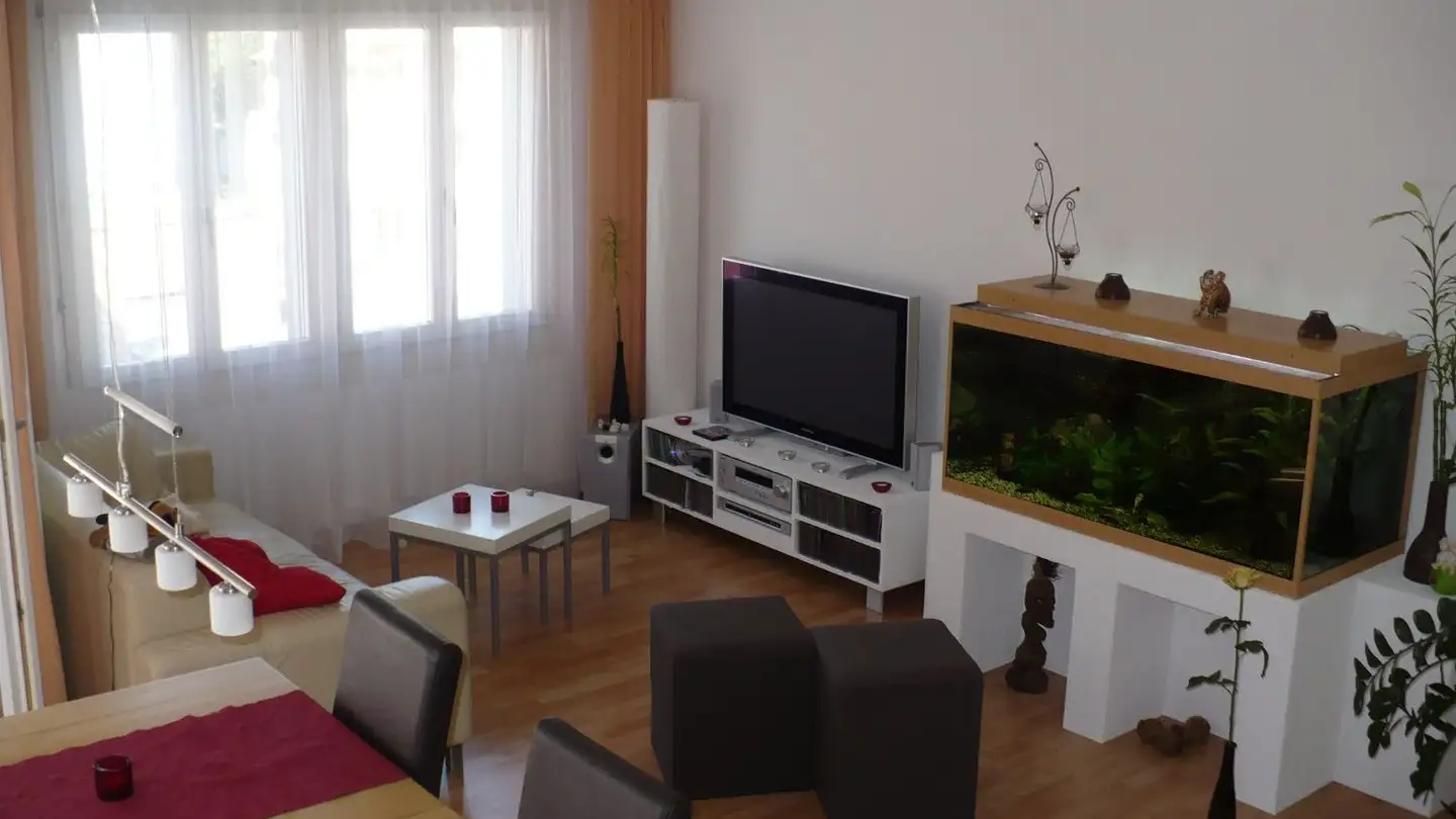 Duplex in affitto - Parkstrasse 21a, 6410 Goldau - Photo 3