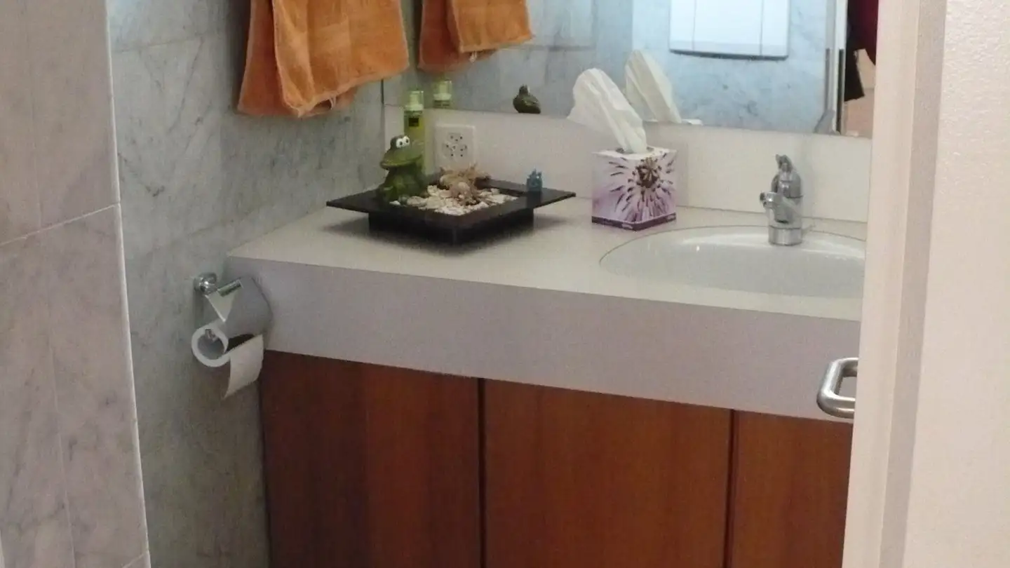 Duplex in affitto - Parkstrasse 21a, 6410 Goldau - Photo 4